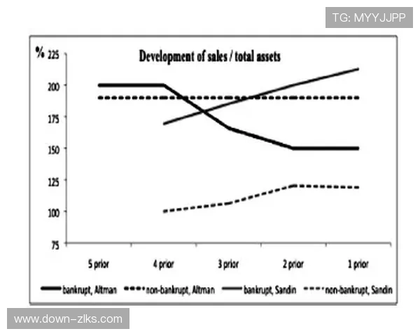 尊龙集团有限公司在财务管理与风险控制上的成功经验分享